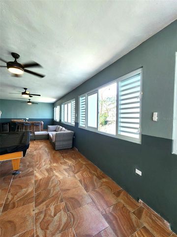 234 ZUMBADOR, Rio Grande, PR 00745