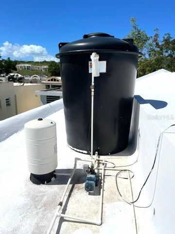 234 ZUMBADOR, Rio Grande, PR 00745