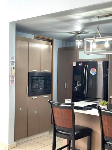 234 ZUMBADOR, Rio Grande, PR 00745