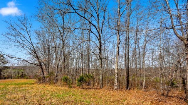 0 Herman Adams Road, Cumberland City, TN 37050