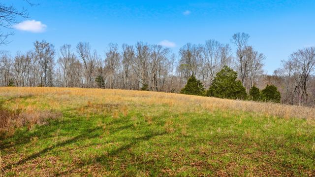 0 Herman Adams Road, Cumberland City, TN 37050