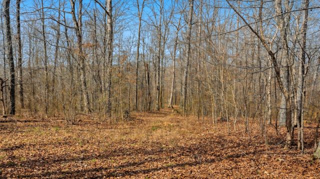 0 Herman Adams Road, Cumberland City, TN 37050