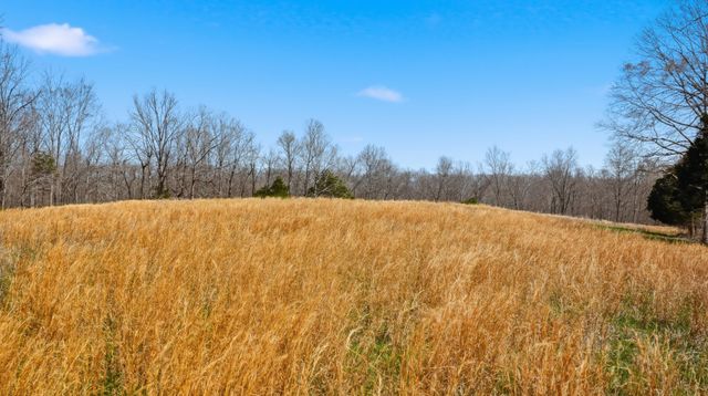 0 Herman Adams Road, Cumberland City, TN 37050