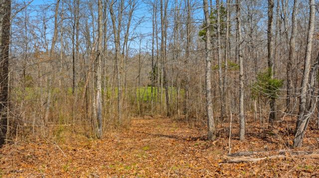 0 Herman Adams Road, Cumberland City, TN 37050