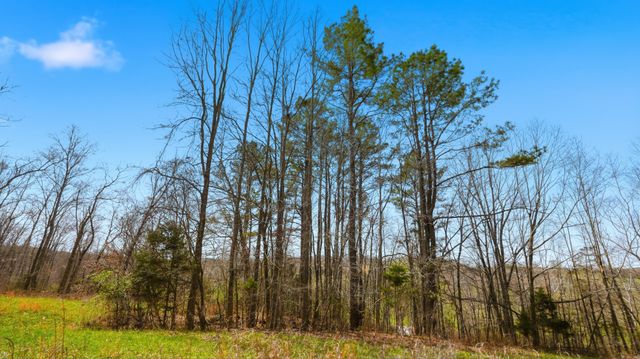 0 Herman Adams Road, Cumberland City, TN 37050