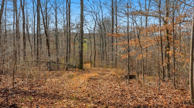 0 Herman Adams Road, Cumberland City, TN 37050