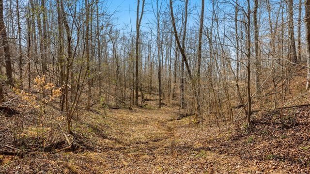 0 Herman Adams Road, Cumberland City, TN 37050