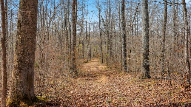 0 Herman Adams Road, Cumberland City, TN 37050