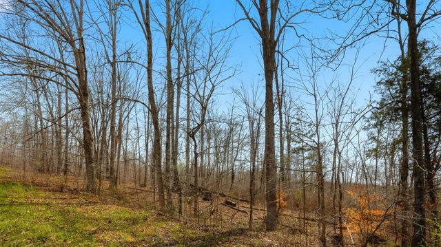 0 Herman Adams Road, Cumberland City, TN 37050