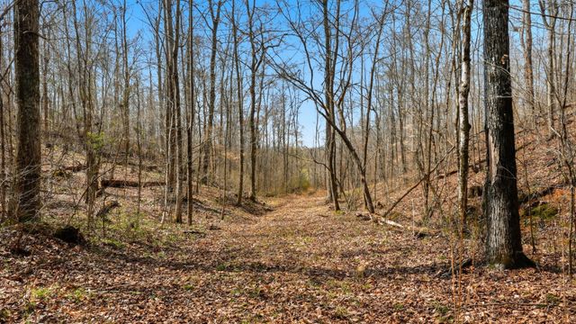 0 Herman Adams Road, Cumberland City, TN 37050