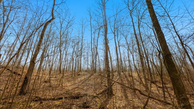 0 Herman Adams Road, Cumberland City, TN 37050