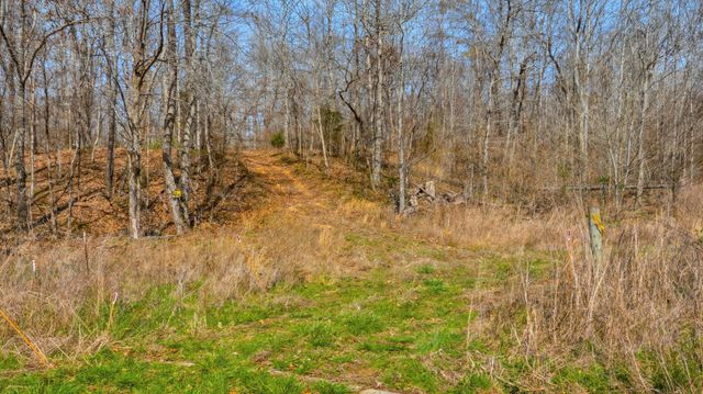 0 Herman Adams Road, Cumberland City, TN 37050