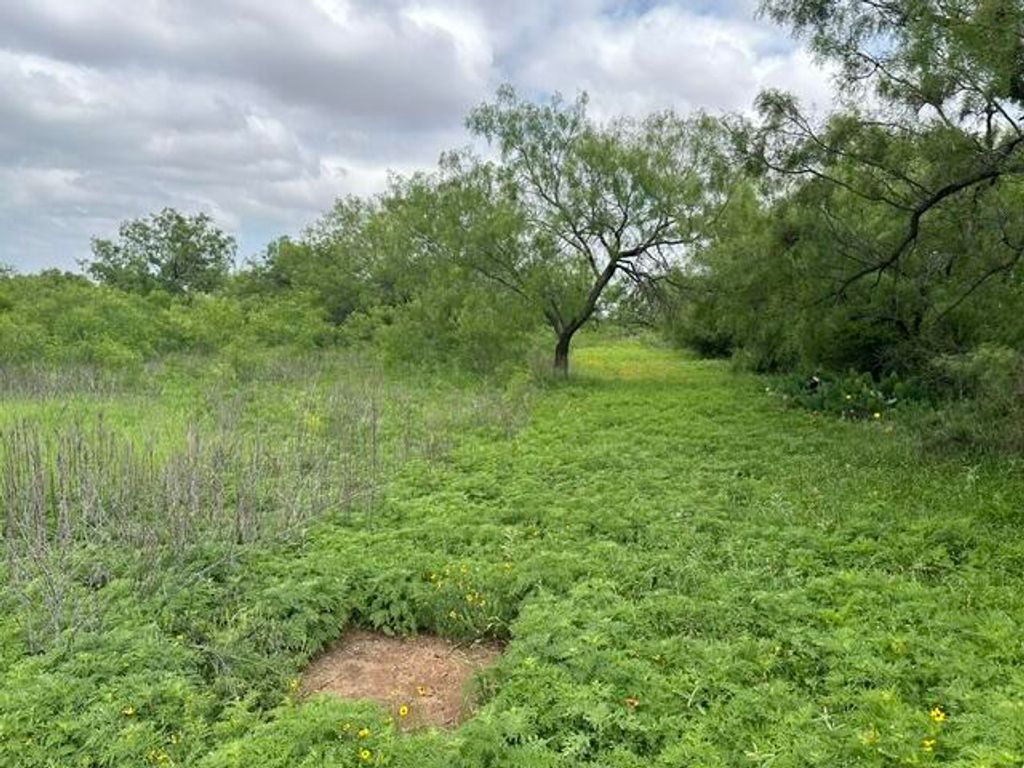 Image 29 of property listing at 5502 Meadow Drive, San Angelo, TX 76903
