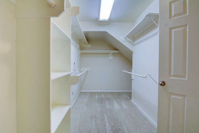 59 W Matisse Meadow, The Woodlands, TX 77382