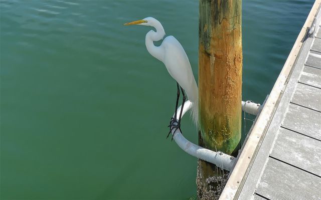 925 SPANISH DRIVE N, Longboat Key, FL 34228