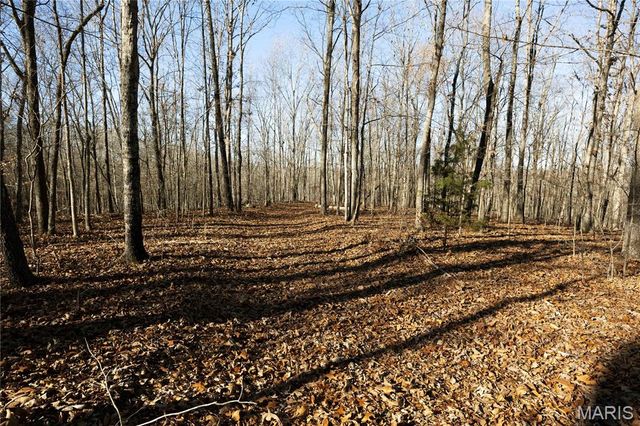 23609 State Highway OO, Marble Hill, MO 63764