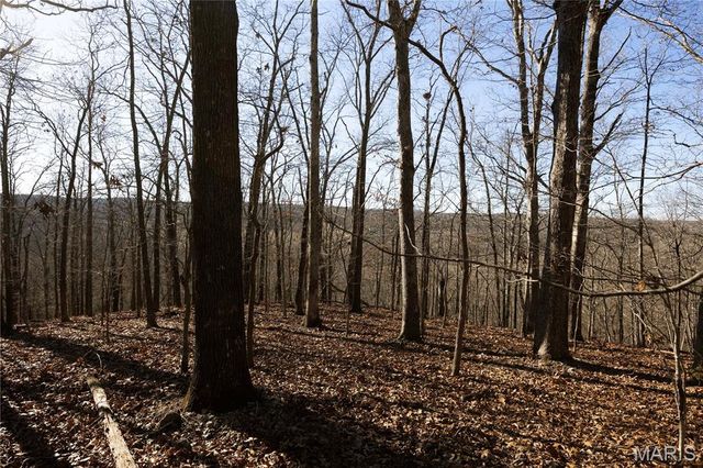 23609 State Highway OO, Marble Hill, MO 63764