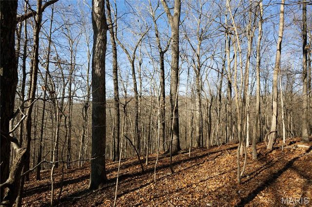 23609 State Highway OO, Marble Hill, MO 63764