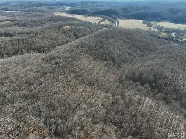 23609 State Highway OO, Marble Hill, MO 63764