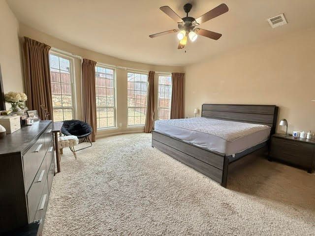 2517 Erec Drive, Lewisville, TX 75056