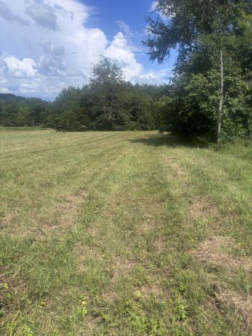 152 Osteen Ln, Chapel Hill, TN 37034