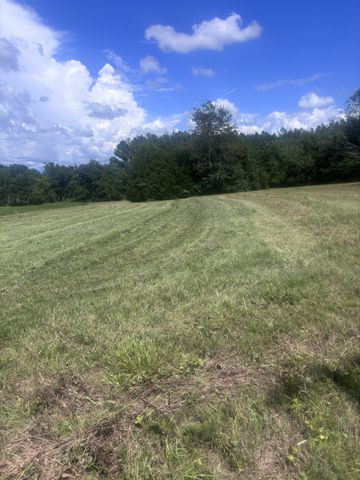 152 Osteen Ln, Chapel Hill, TN 37034