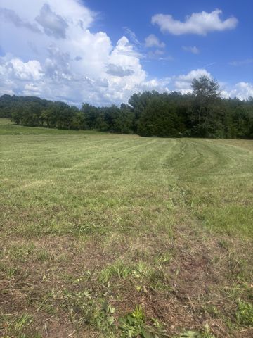 152 Osteen Ln, Chapel Hill, TN 37034
