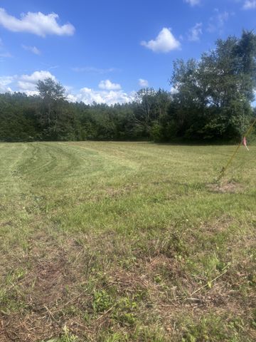 152 Osteen Ln, Chapel Hill, TN 37034