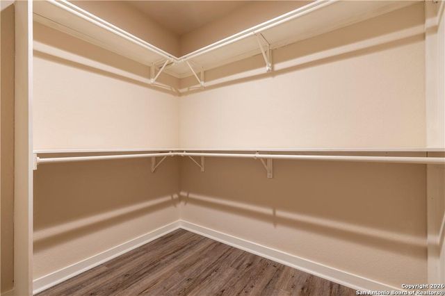 356 Basel, New Braunfels, TX 78130