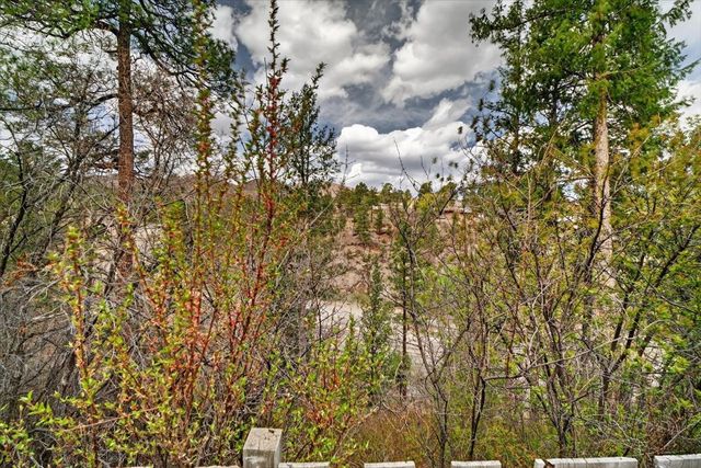 4288 Ridgeway Drive, Los Alamos, NM 87544