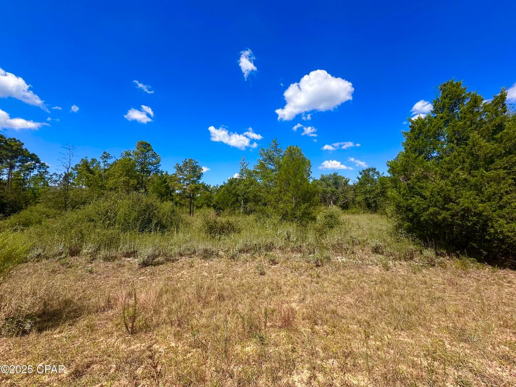Lot 9 Marville Drive, Marianna, FL 32448