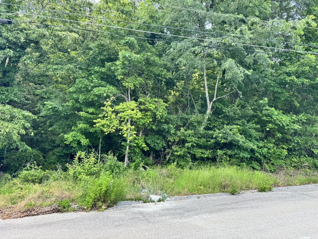 7405 Woodland Bay Drive, Harrison, TN 37341