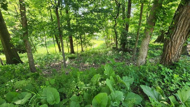 0 South Park Rd, Bethel Park, PA 15102