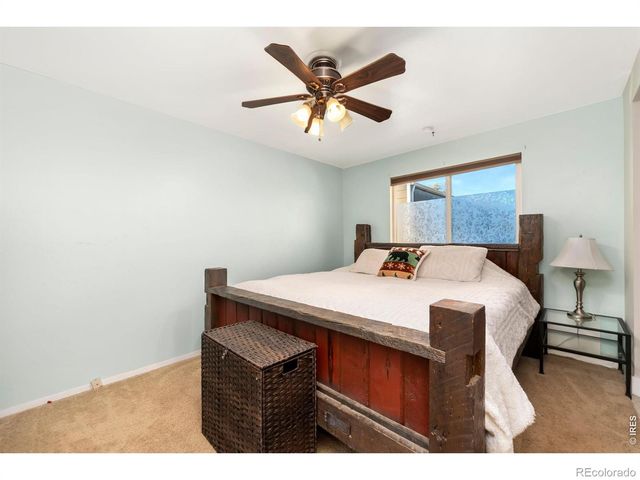 135 Sunflower Drive, Windsor, CO 80550