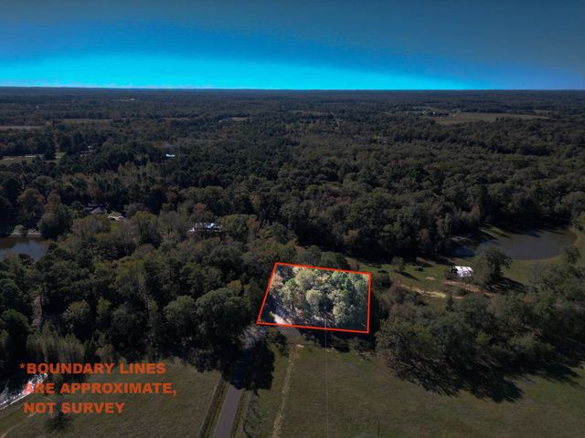 1232 County Road 4750, Winnsboro, TX 75494