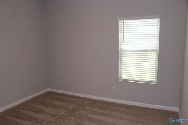 25206 Delilah Circle, Athens, AL 35613