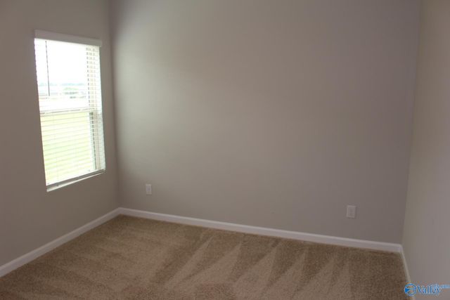 25206 Delilah Circle, Athens, AL 35613