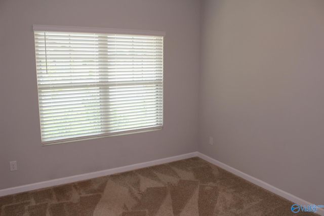 25206 Delilah Circle, Athens, AL 35613