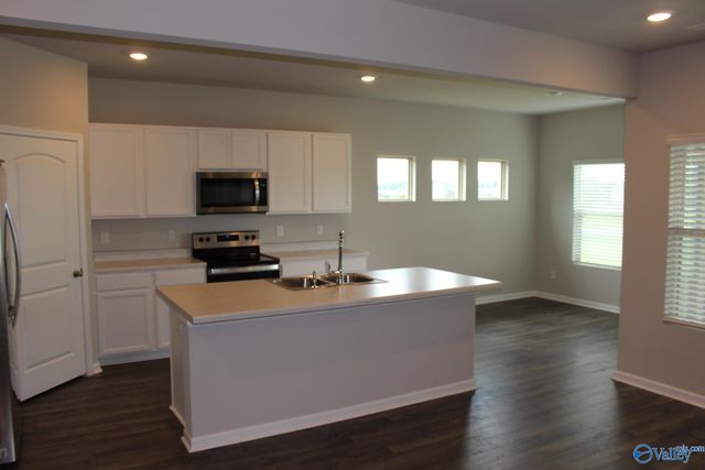 25206 Delilah Circle, Athens, AL 35613