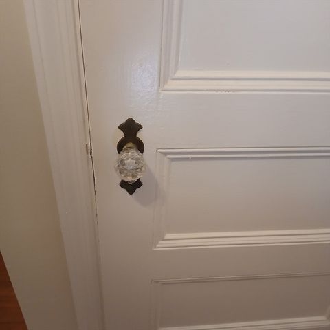 132 Thorndike Street 2, Brookline, MA 02446