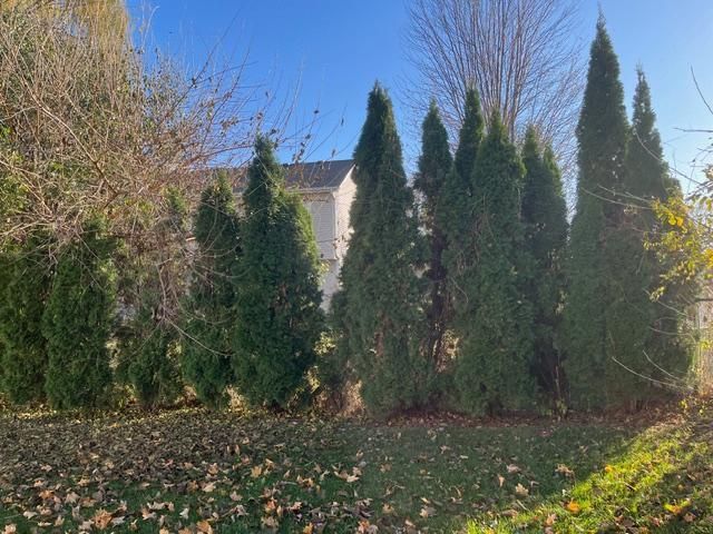 806 103rd Avenue NE, Blaine, MN 55434