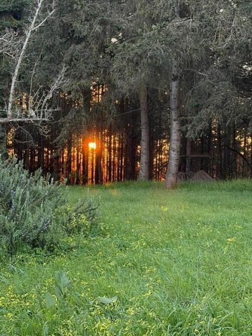 71 Hawk Haven Road, Watsonville, CA 95076