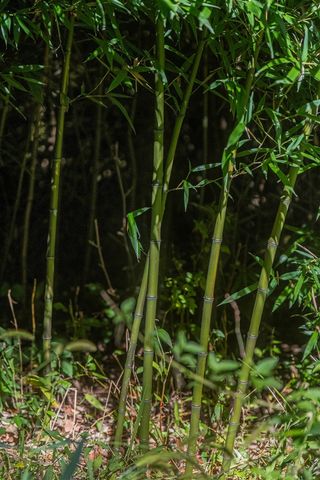 11480 North Adams Road, North Adams, MI 49262