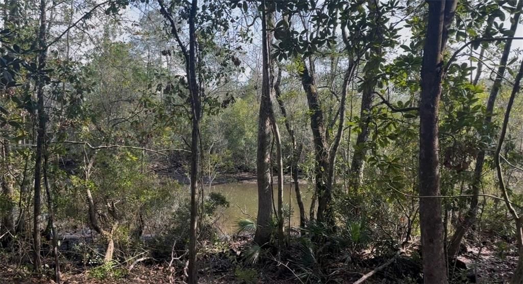 3820 Cypress Shores Drive N, Mobile, AL 36619 — photo 2