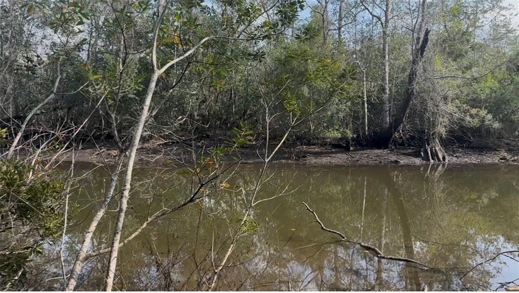 3820 Cypress Shores Drive N, Mobile, AL 36619 — photo 3