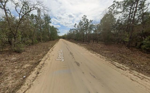 Lot 28 Janet Avenue, Interlachen, FL 32148
