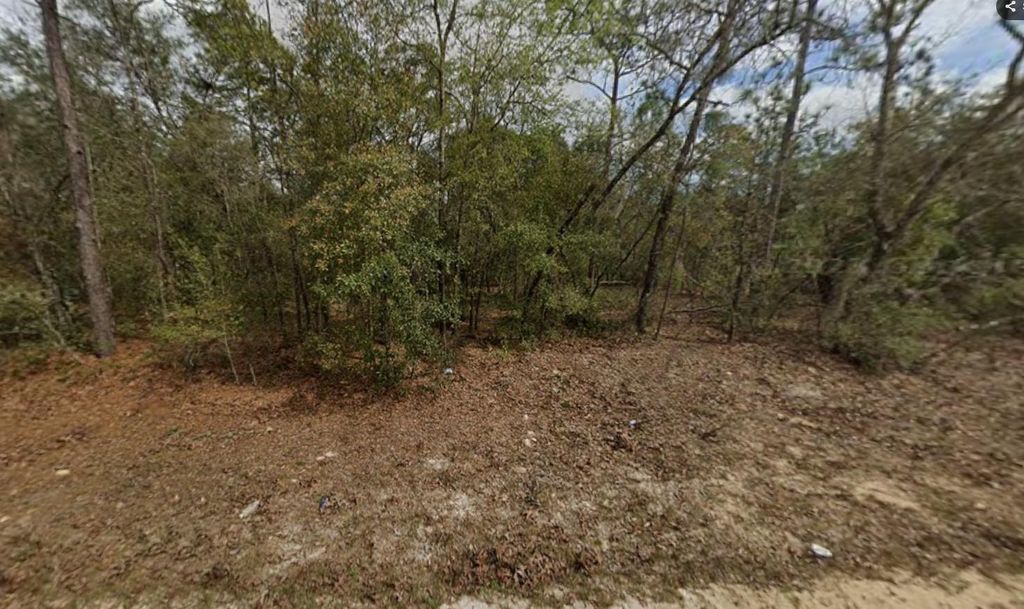 Lot 28 Janet Avenue, Interlachen, FL 32148