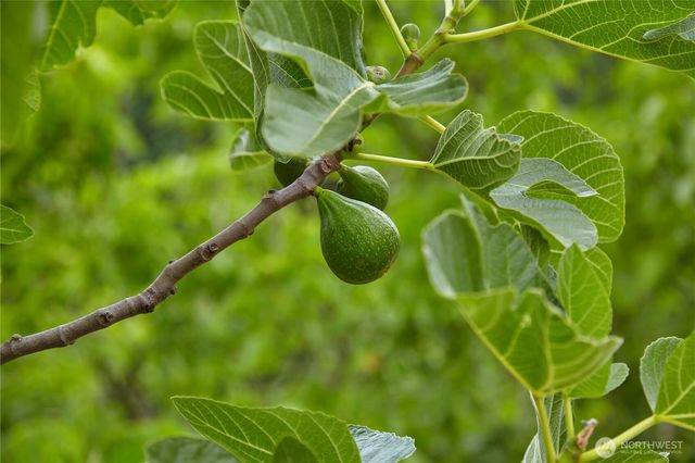 1858 SE Cedar Road, Port Orchard, WA 98367