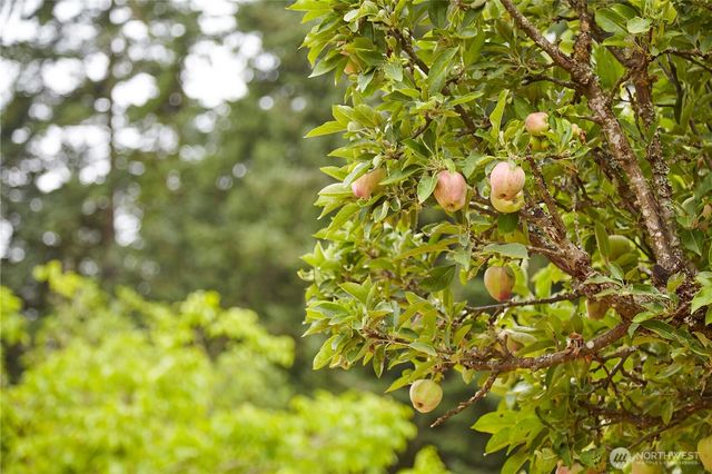 1858 SE Cedar Road, Port Orchard, WA 98367