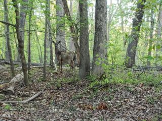 Lot 2 Deer Run Trail, Hillsborough, NC 27278